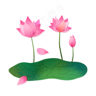 二十四节气之大暑荷叶荷花