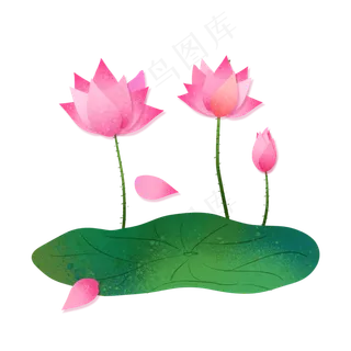 二十四节气之大暑荷叶荷花