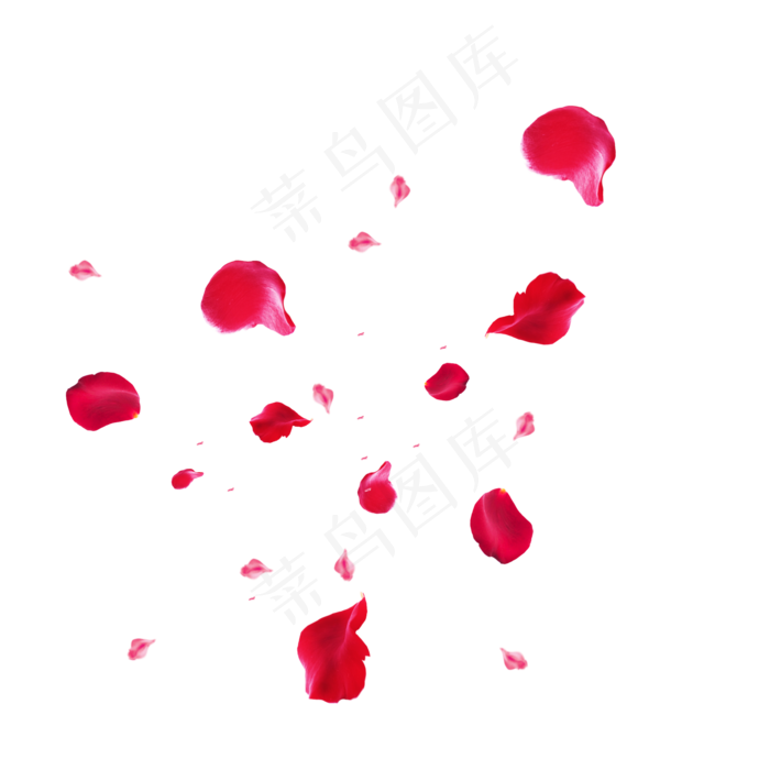 玫瑰飞舞的花瓣(2000X2000(DPI:300))psd模版下载