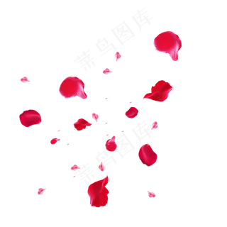 玫瑰飞舞的花瓣