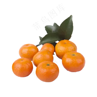 七个橘子（png免抠）