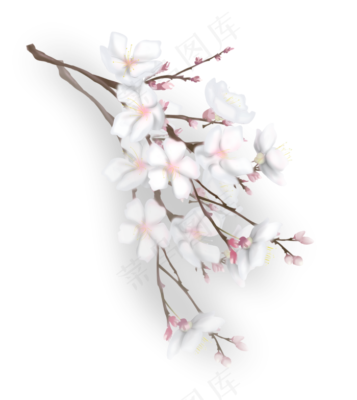 一束漂亮的樱花花束,免抠元素(2424X2712(DPI:300))psd模版下载
