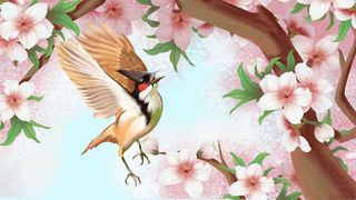 花节粉色四月你好肌理桃花