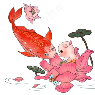 金猪锦鲤荷花荷叶和和美美