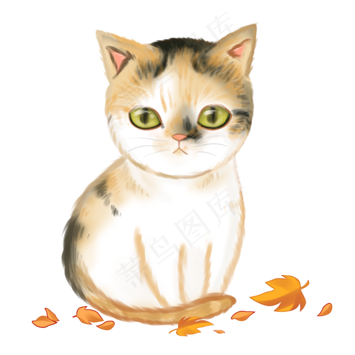 小动物小花猫(3000X3000(DPI:299))psd模版下载