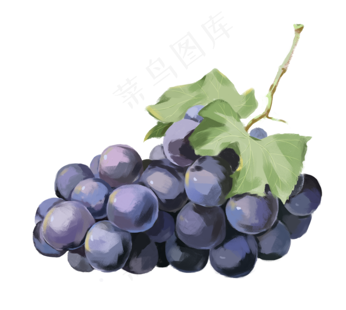 葡萄水果