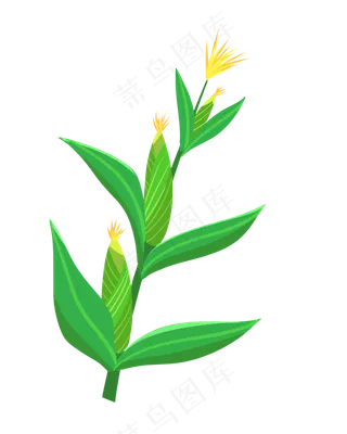 二十四节气小满