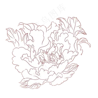 黑白线稿植物花草花线稿