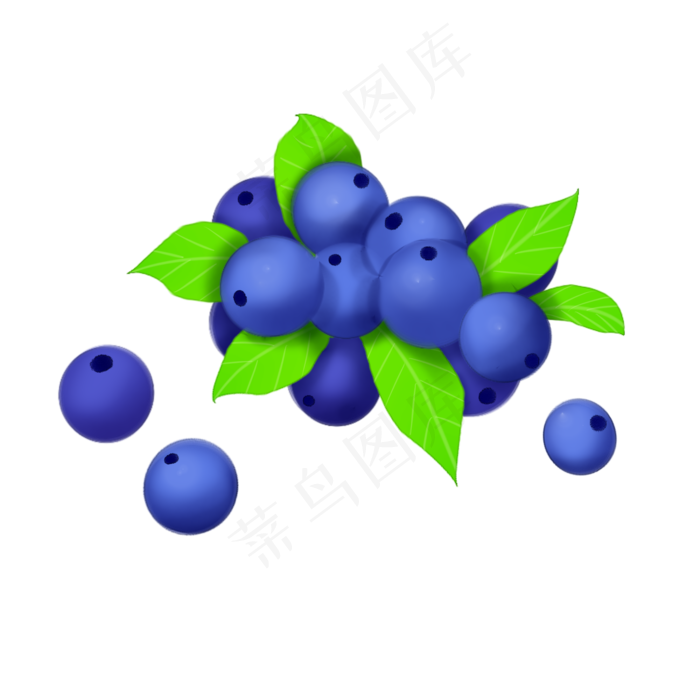 蓝莓写真插图装饰