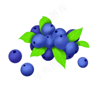 蓝莓写真插图装饰