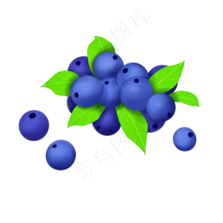 蓝莓写真插图装饰