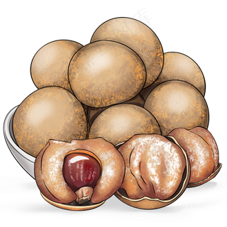 营养丰富的南方水果龙眼