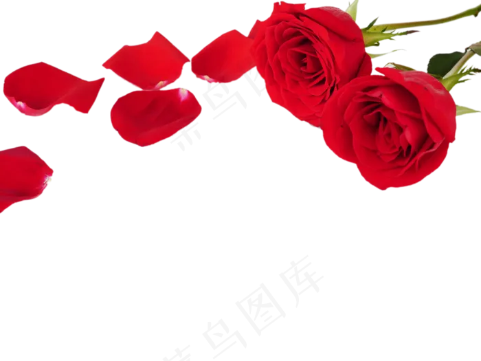 浪漫鲜花红玫瑰(4000*3000px 300 dpi )