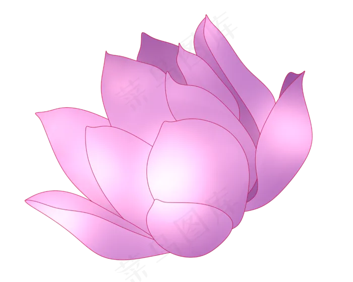 唯美的紫色荷花插图(2500X2000(DPI:299))psd模版下载