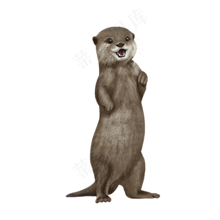 可爱动物网红土拨鼠,免抠元素