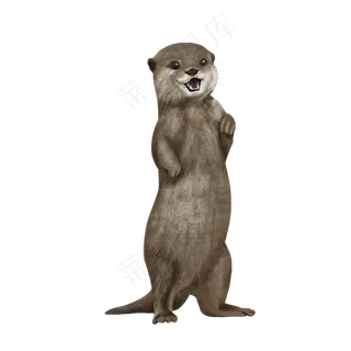 可爱动物网红土拨鼠,免抠元素