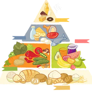 营养健康膳食金字塔