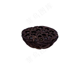 一个成熟的棕色莲蓬