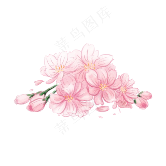 手绘唯美小清新粉色樱花元素装饰,免抠元素