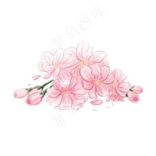 手绘唯美小清新粉色樱花元素装饰,免抠元素