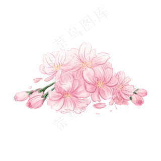 手绘唯美小清新粉色樱花元素装饰,免抠元素