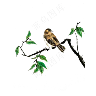 国画花鸟工笔树枝春天水墨PNG,免抠元素