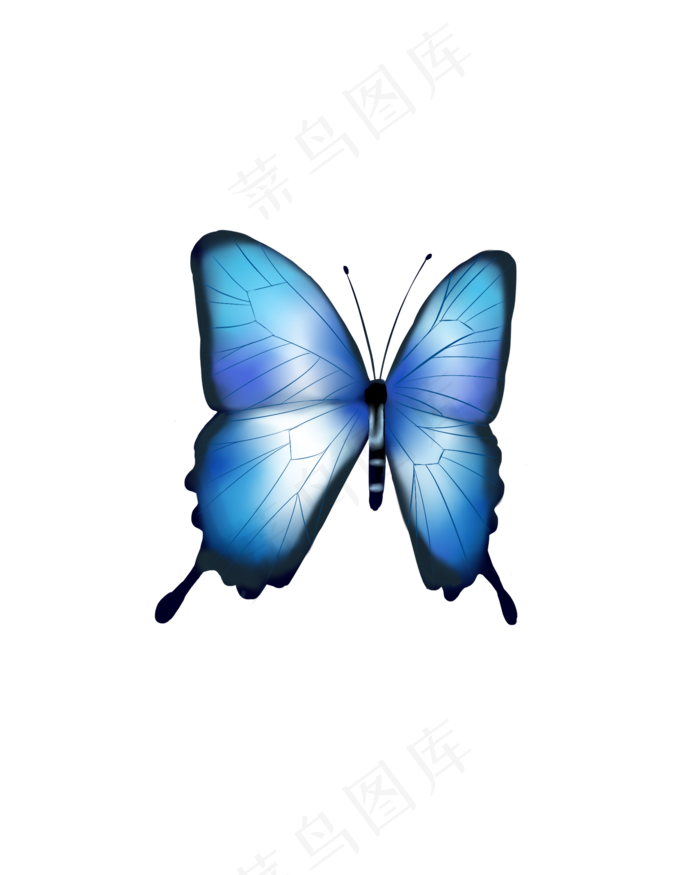 蝴蝶蓝色手绘写实(2000X2500(DPI:300))psd模版下载