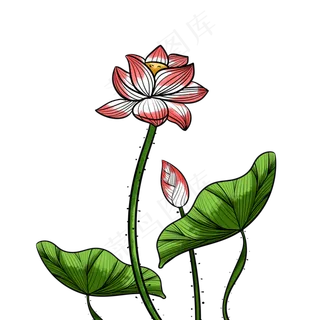 手绘卡通艺术荷花透明底免抠