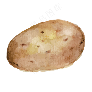 水彩土豆矢量免抠图