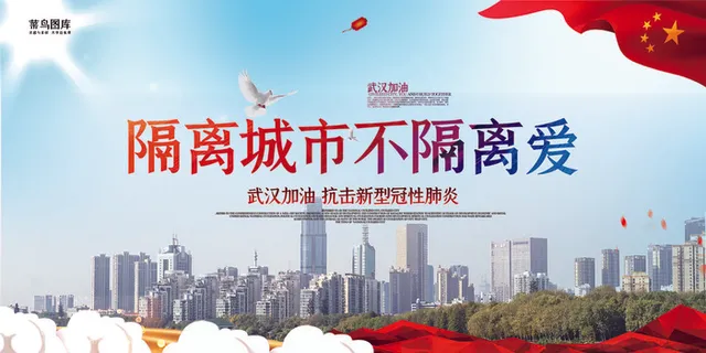 新型冠性肺炎武汉红色简约展板