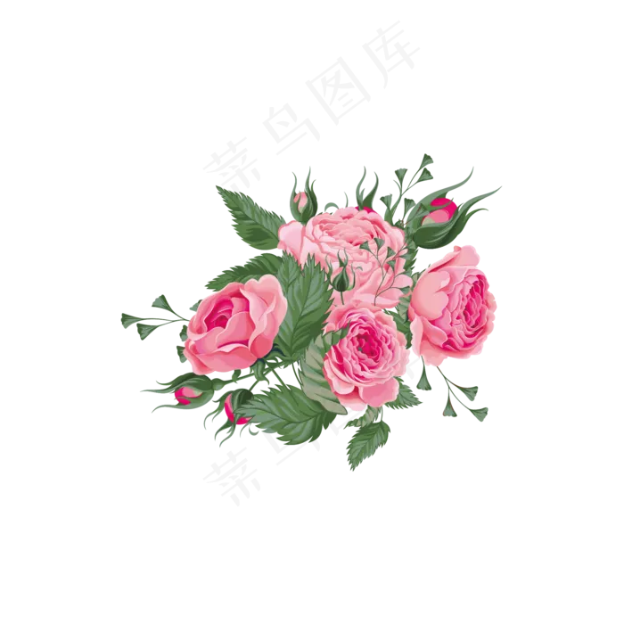 写实风观赏植物牡丹花花卉ai矢量模版下载