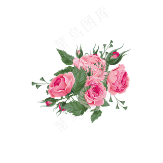 写实风观赏植物牡丹花花卉