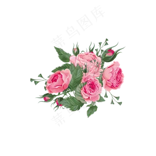 写实风观赏植物牡丹花花卉