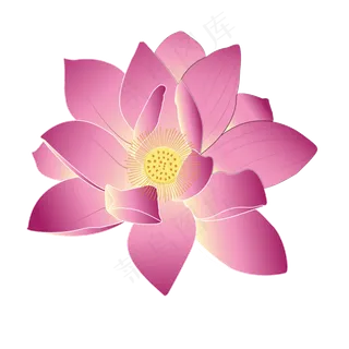 手绘荷花矢量唯美商用元素