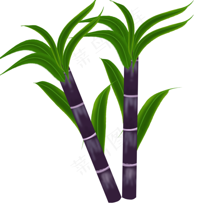 水果甘蔗实心草本