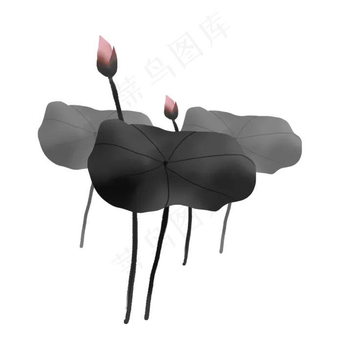 彩色荷花荷叶(2000X2000(DPI:300))psd模版下载