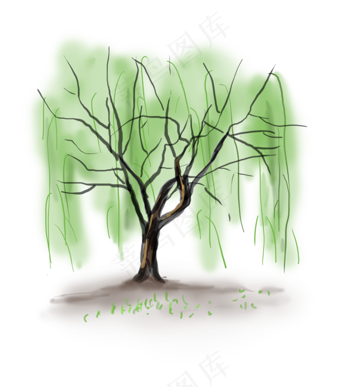 暑假夏日夏季柳树