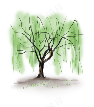 暑假夏日夏季柳树