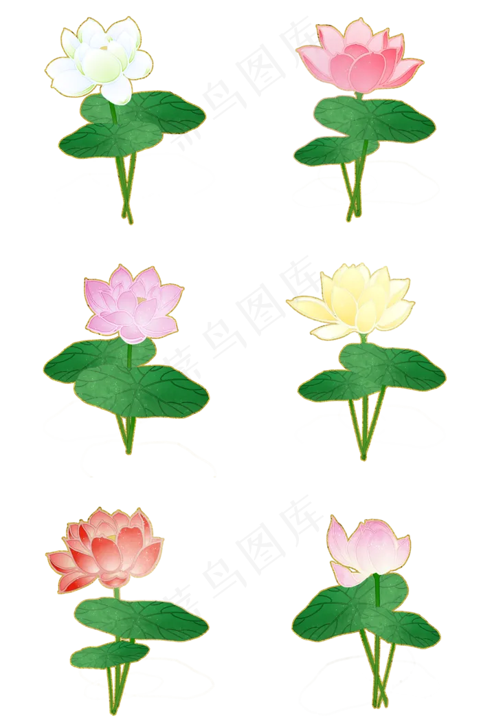 荷花中国风花卉PNG素材(2000X3020(DPI:300))psd模版下载
