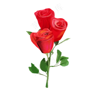 玫瑰花花束花朵