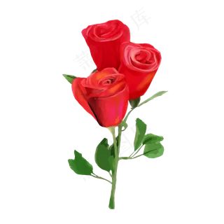 玫瑰花花束花朵