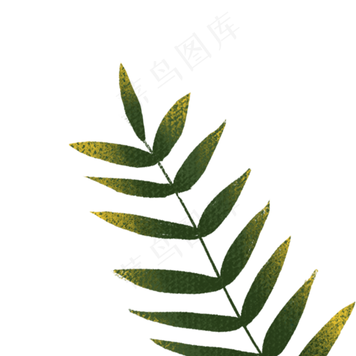 卡通绿树植物枝条(2000X2000(DPI:300))psd模版下载