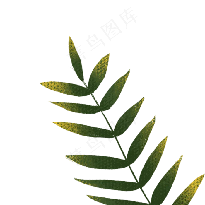 卡通绿树植物枝条(2000X2000(DPI:300))psd模版下载