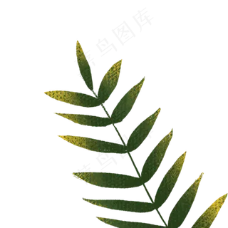 卡通绿树植物枝条
