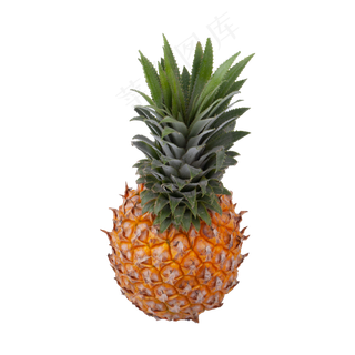 菠萝（png免抠）