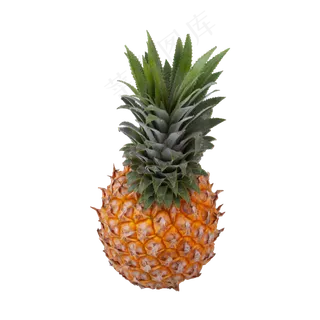 菠萝（png免抠）