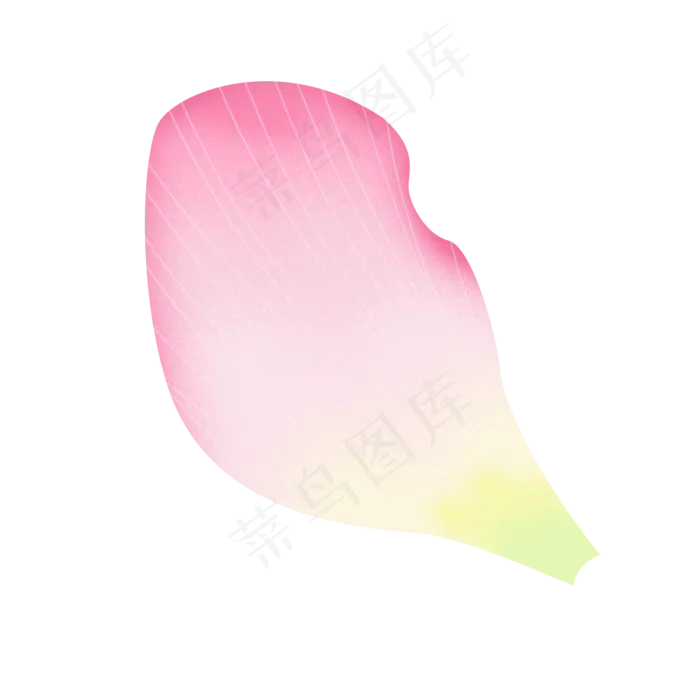 荷花瓣(2000X2000(DPI:300))psd模版下载