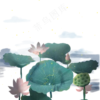 卡通绿色的荷叶和莲子