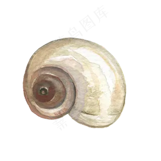 卡通手绘水彩夏日海边海螺