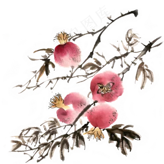 秋冬水果深秋的石榴